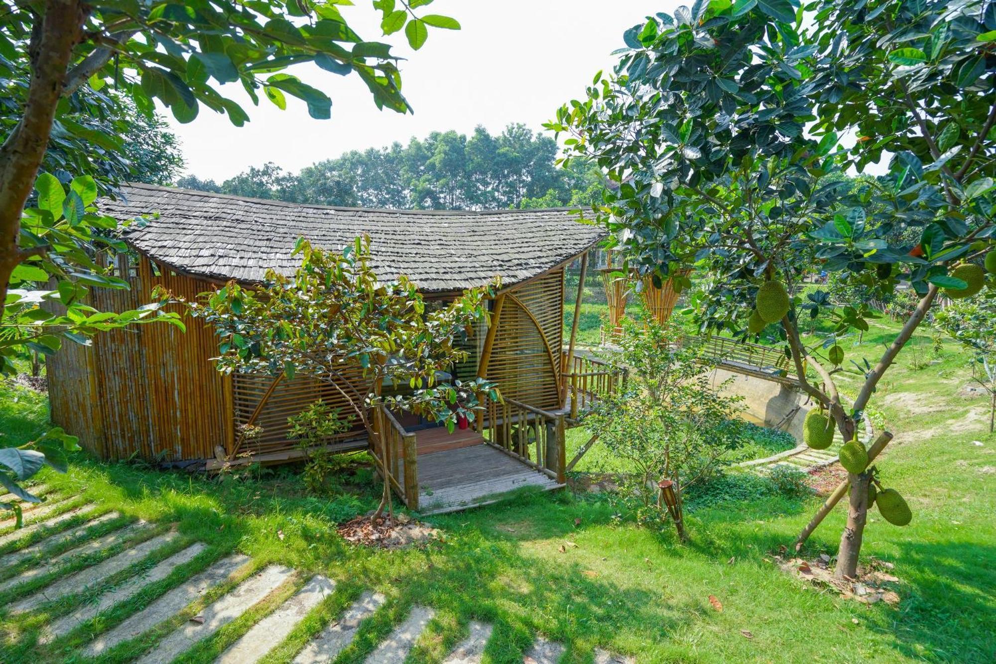 Little Bee House Trai Vang Exterior foto