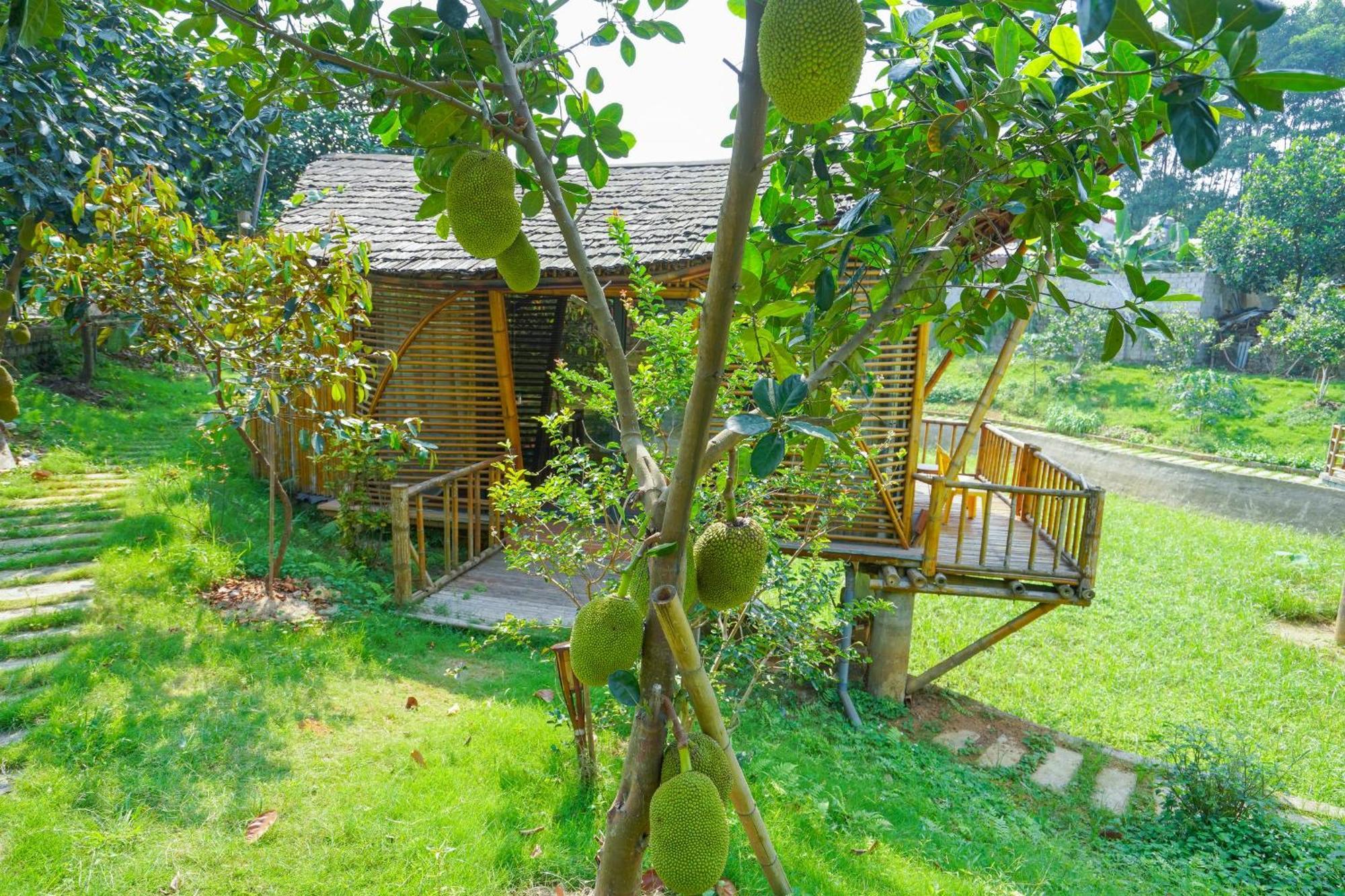 Little Bee House Trai Vang Exterior foto